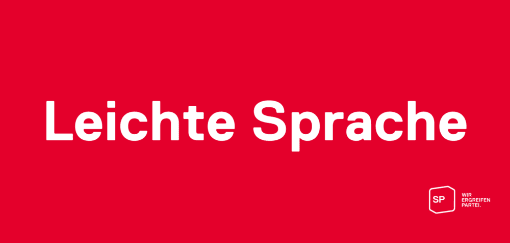 Wahlprogramm 2025 in einfacher Sprache