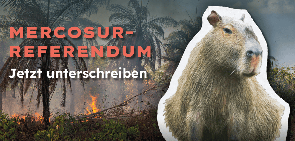 Mercosur-Referendum